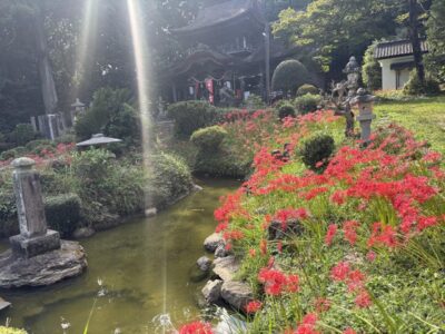 IMG_6030.jpeg